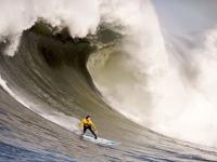 开云体育下载-欧冠淘汰赛焦点战，巴西巅峰对决，胜出爱尔兰