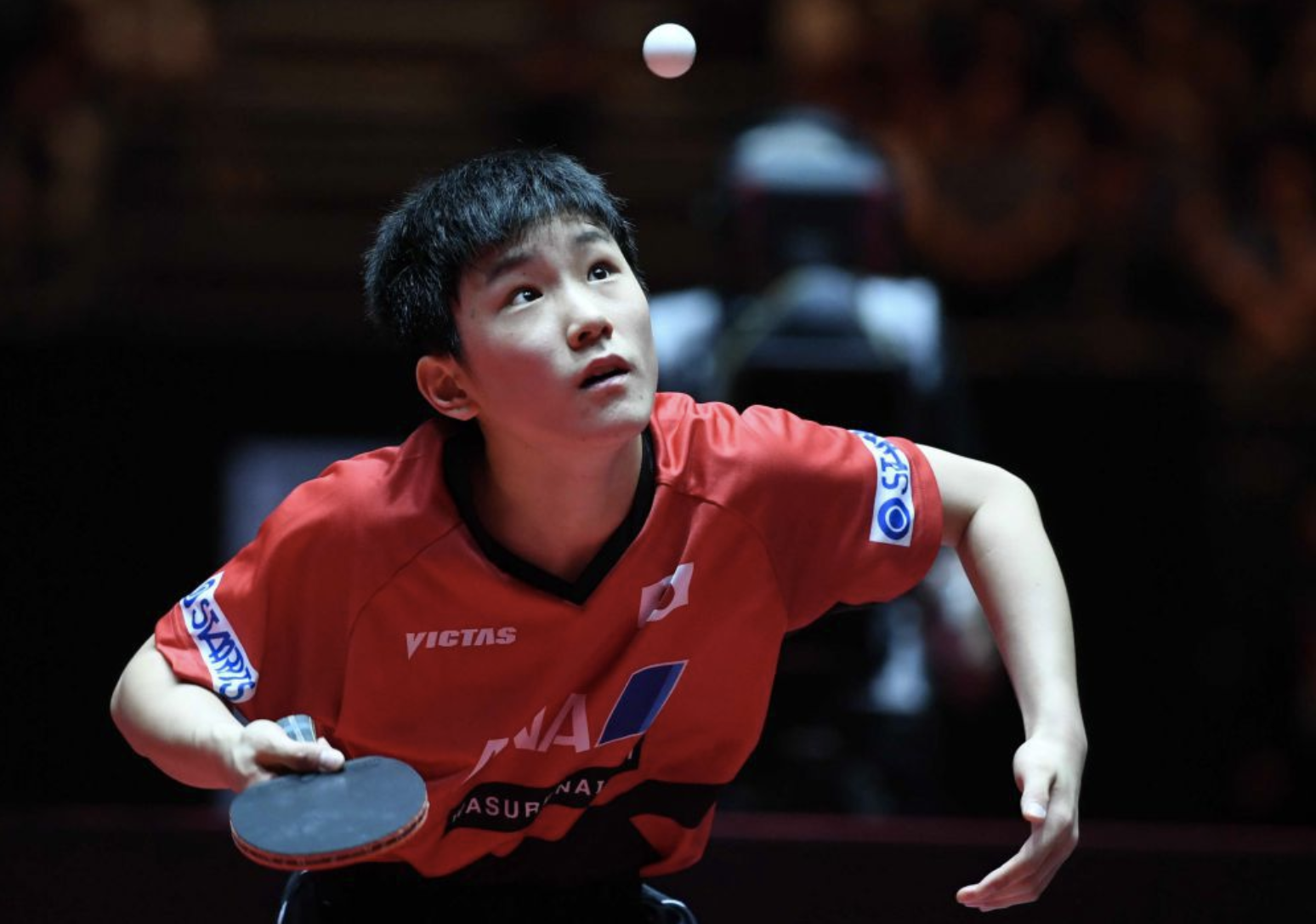 关于奥地利乒乓球队翻盘英国乒乓球队,水谷隼惊艳世界的信息 关于奥地利乒乓球队翻盘英国乒乓球队,水谷隼惊艳世界的信息