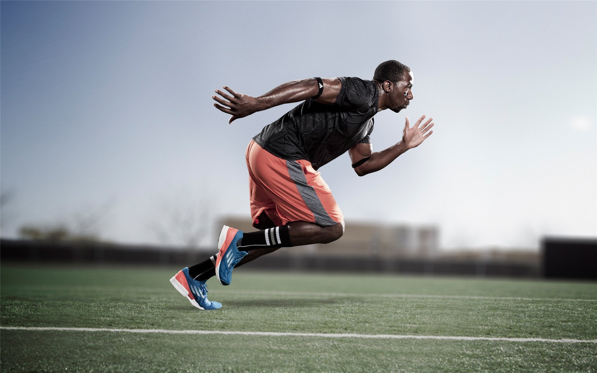 引擎轰鸣下的历史性时刻，法拉利强势碾压哈斯，汉密尔顿再创传奇纪录